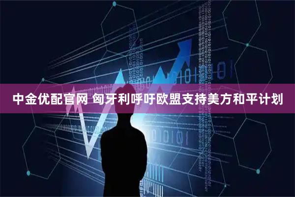 中金优配官网 匈牙利呼吁欧盟支持美方和平计划
