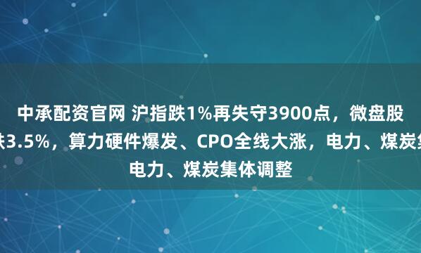 中承配资官网 沪指跌1%再失守3900点，微盘股指数大跌3.5%，算力硬件爆发、CPO全线大涨，电力、煤炭集体调整