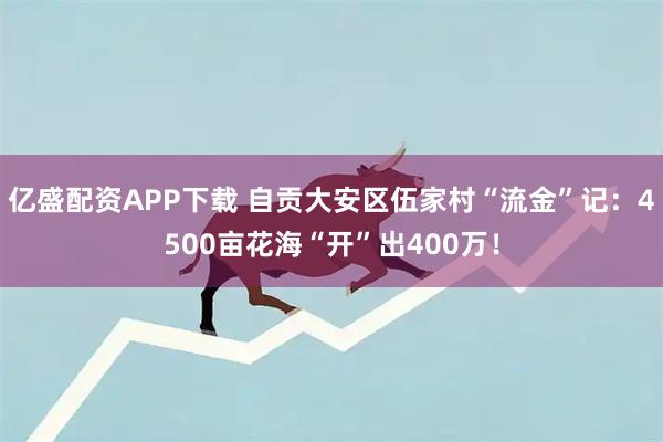 亿盛配资APP下载 自贡大安区伍家村“流金”记:4500亩花海“开”出400万!